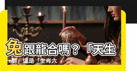 龍與兔|【兔跟龍合嗎】兔跟龍合嗎？「天生一對」還是「生肖六沖」？